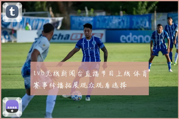 tvb无线新闻台直播节目上线 体育赛事转播拓展观众观看选择