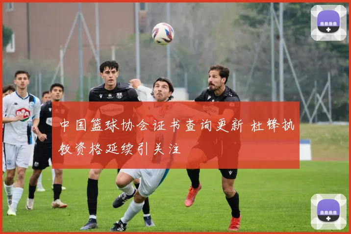 中国篮球协会证书查询更新 杜锋执教资格延续引关注